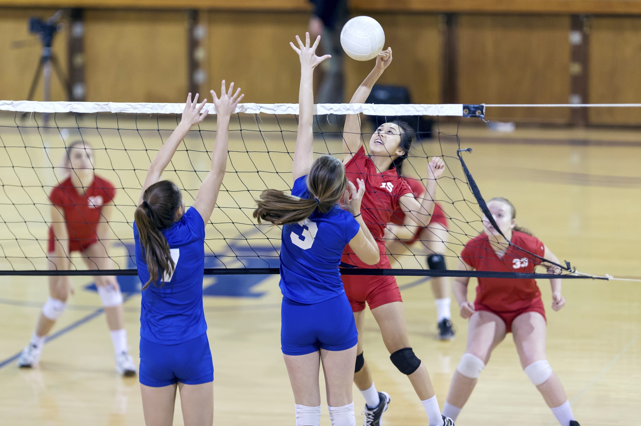 Volleybal